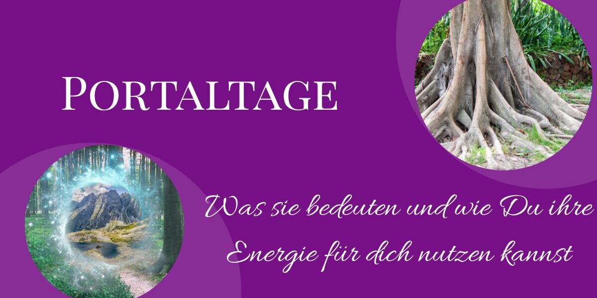 Portaltage_Blog Portaltage