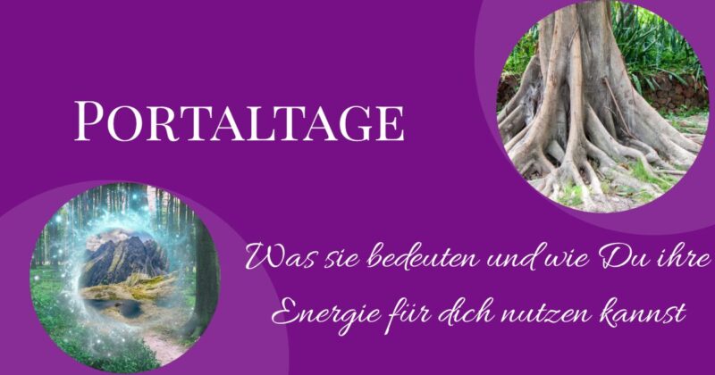 Portaltage_Blog Portaltage